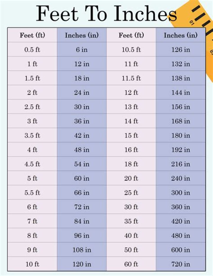 A Definitive Guide To Inches And Feet
