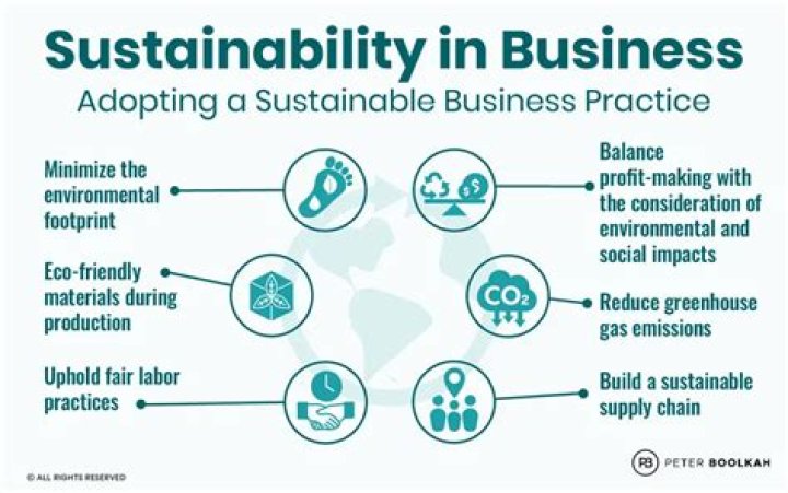 A Renowned Authority On Sustainable Business Practices