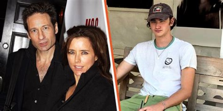 All About David Duchovny's Son: A Peek Into His Life And Relationship
