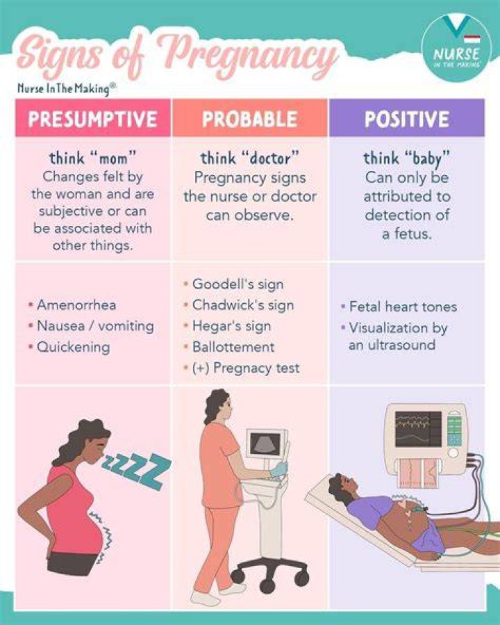 Brianna's Pregnancy: Is It True Or False?