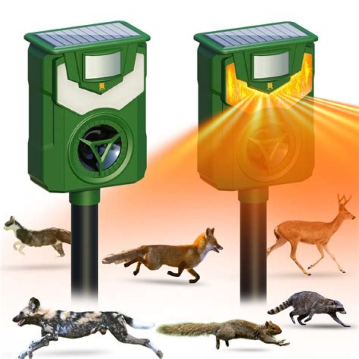 Discover The Secrets Of Repelling Mice With Pine-Sol: Unexpected Insights Uncovered