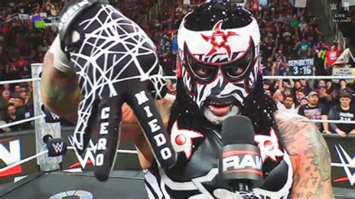 Discoveries And Insights Into The Wrestling Phenomenon