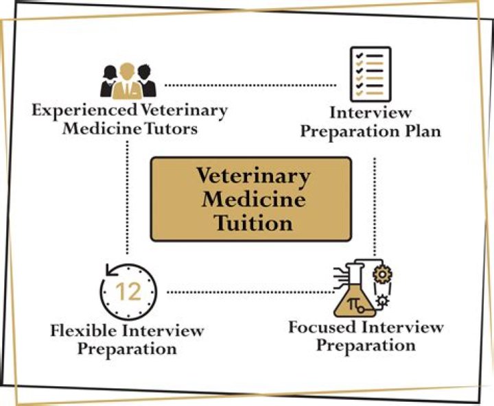 Exploring Experience And Dedication In Veterinary Medicine