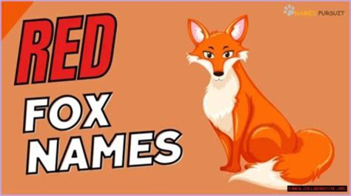 Fox Cartoon Names