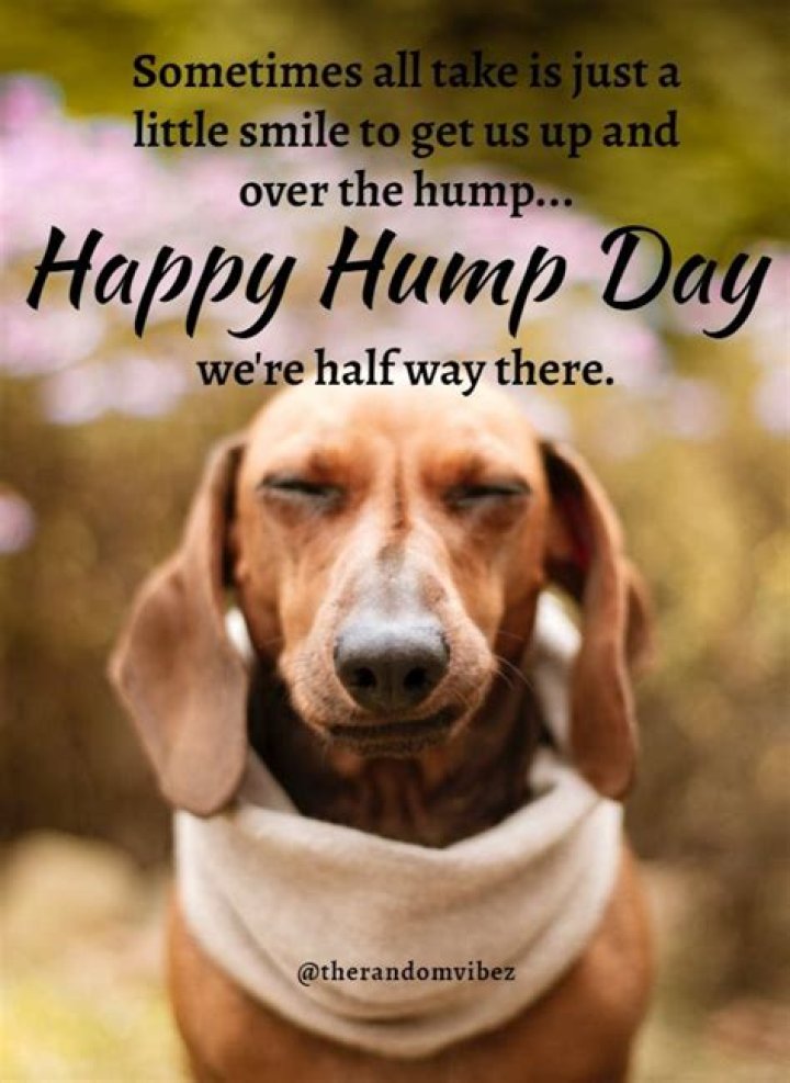 Hump Day Motivational Quotes