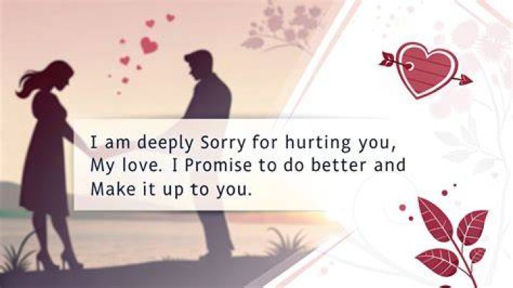 I'm Sorry Quotes For Him