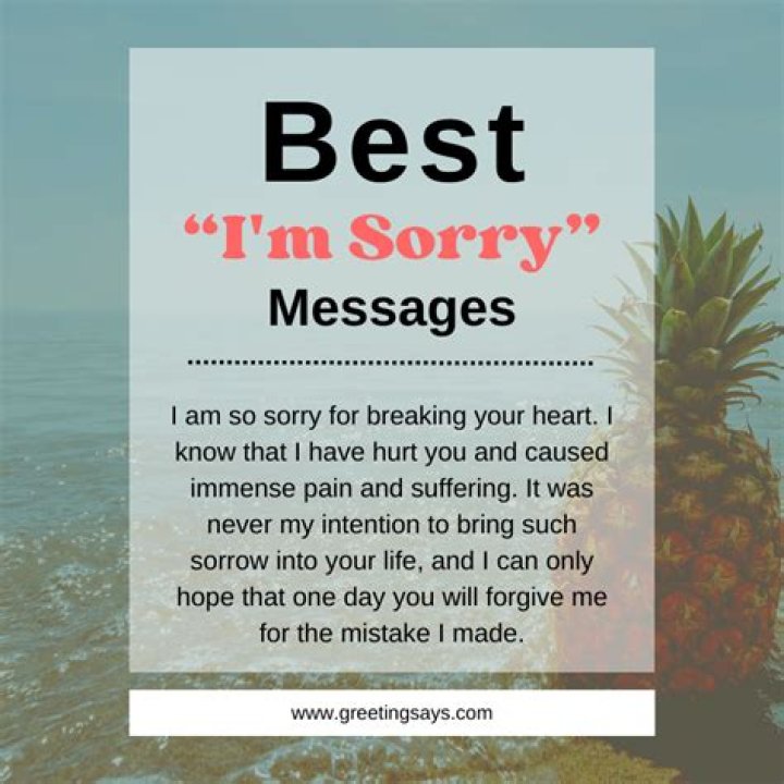 Im Sorry Messages