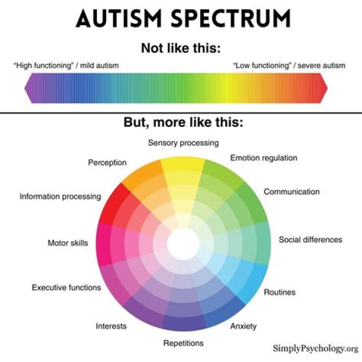 Is Elizabeth Holmes On The Autism Spectrum?