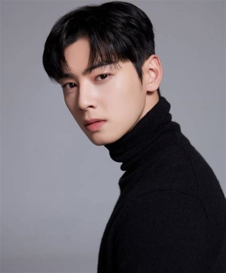 Meet Cha Eunwoo's Fiancee: All The Details