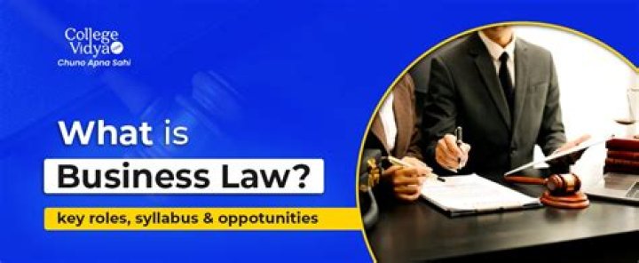 Meet David L. Rubinfine, A Leading Expert In Business Law