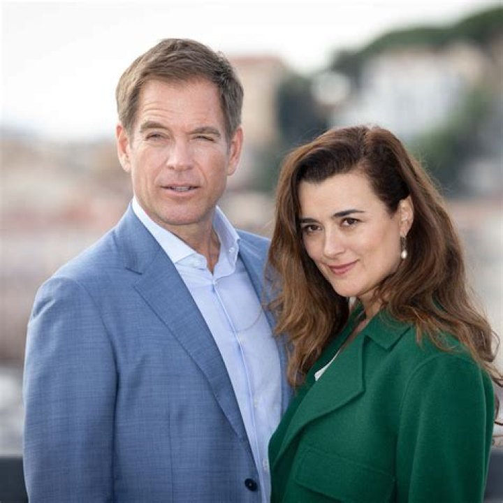 Meet Michael Weatherly's Family: An Exclusive Look