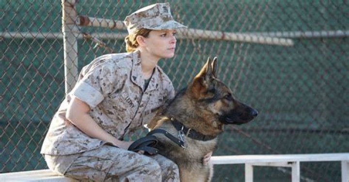 Megan Leavey's Enduring Bond: A Tale Of Love And Sacrifice