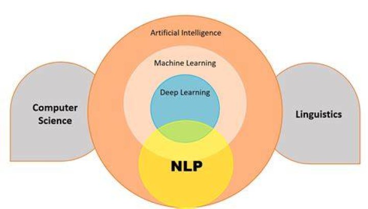 Michelle Peterbauer - Top-Notch NLP And AI Scientist