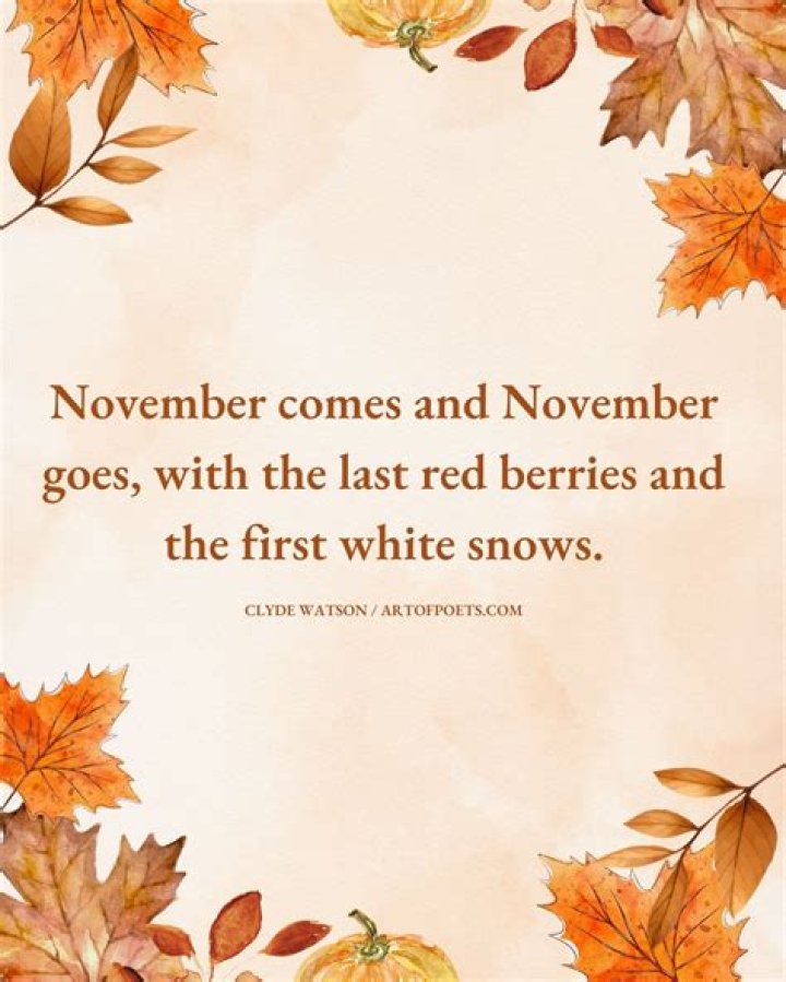 November Quotes Short