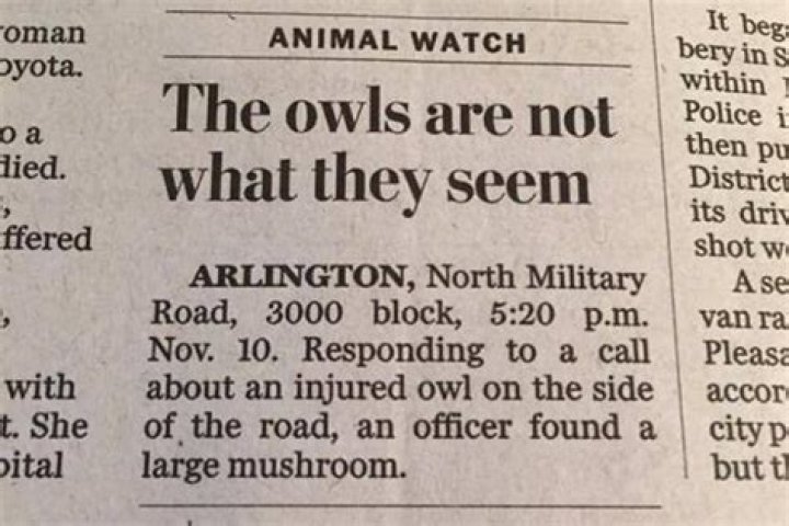 Outrageous Headlines And WTF News
