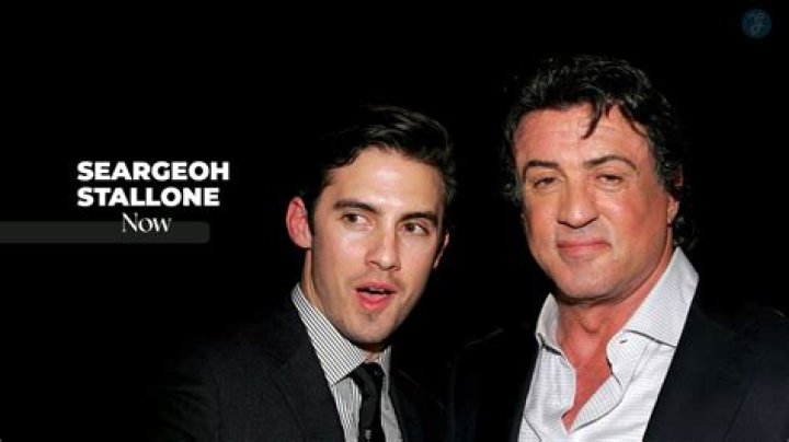 Outstanding Seargeoh Stallone: A Hollywood Legend