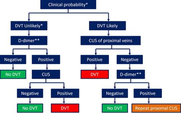 Rule Out DVT Lower Extremity