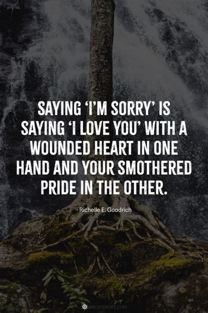 Sorry Quotes In Love