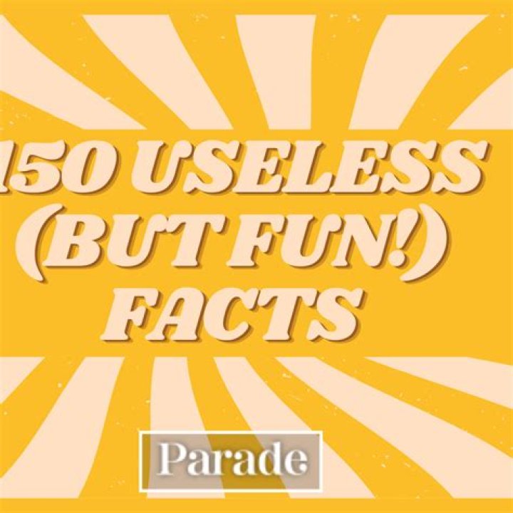 Stupid Useless Facts