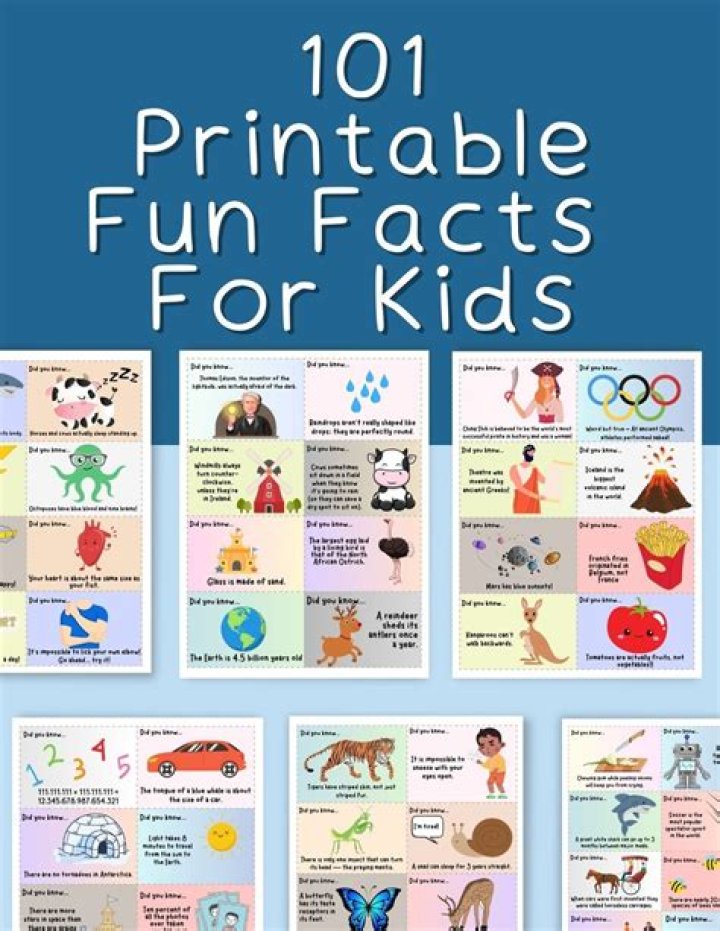 Surprising Fun Facts About Me: A Random Collection Of Trivia