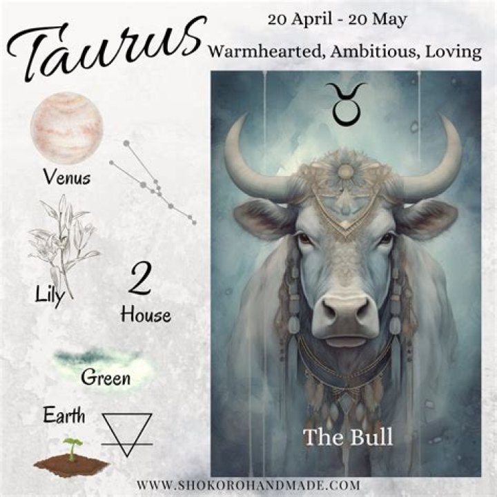 Taurus Traits: An Insight Into The Bull's Personality