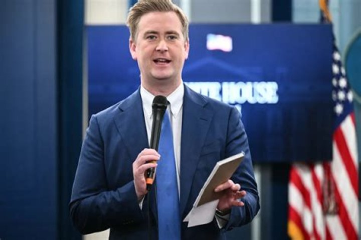 The Accomplished Side Of Peter Doocy's World