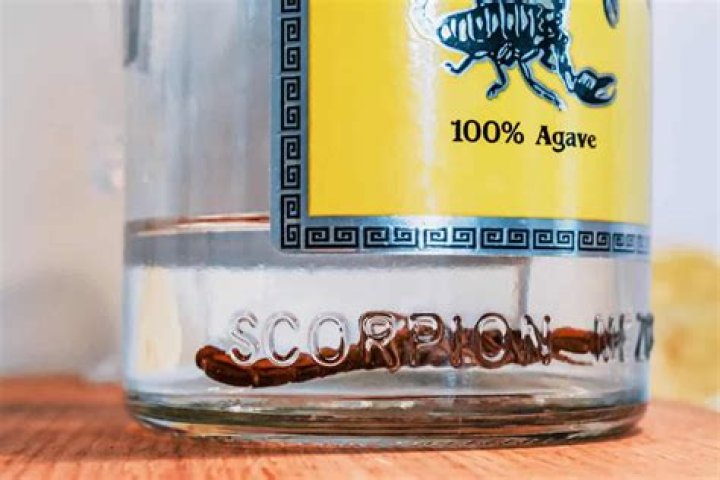 The Best Recuerdo De Durango Tequila Scorpion: Reviews, Price, Features
