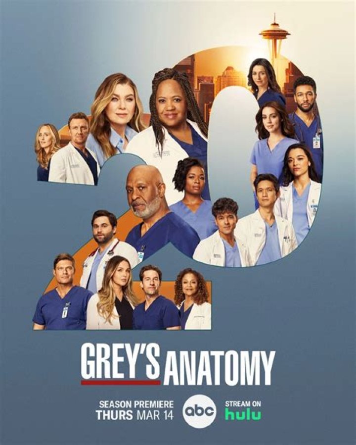 The Fate Of Alex Karev In Grey's Anatomy Season 13: A Twisting Tale