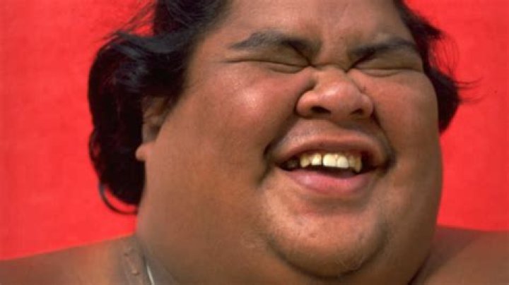 The Legendary Voice Of Hawaii: Israel Kamakawiwoole
