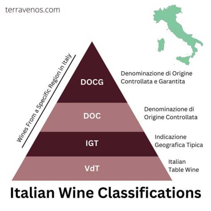 The Master Of Italian Wine