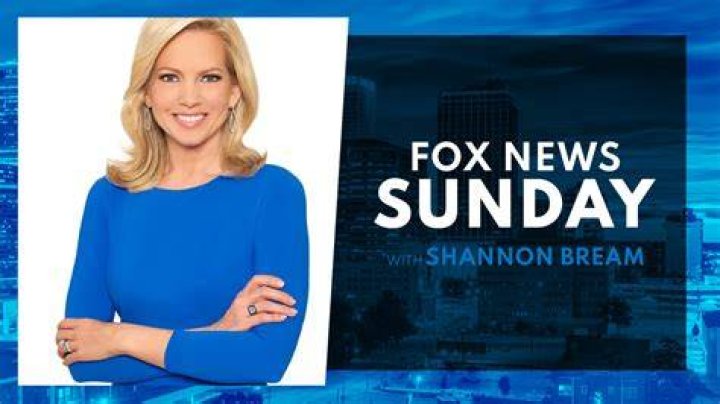 The Offspring Of Fox News Anchor Shannon Bream