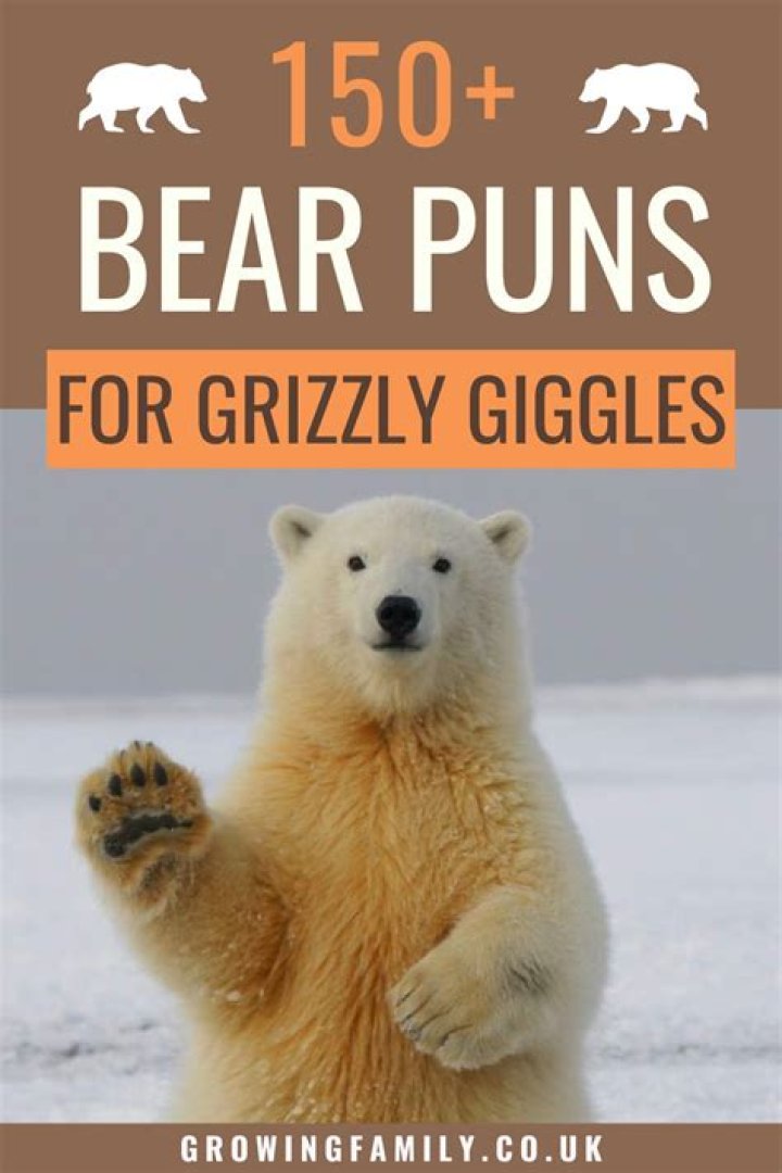 Ultimate Guide To Bear-y Pawesome Bear Puns