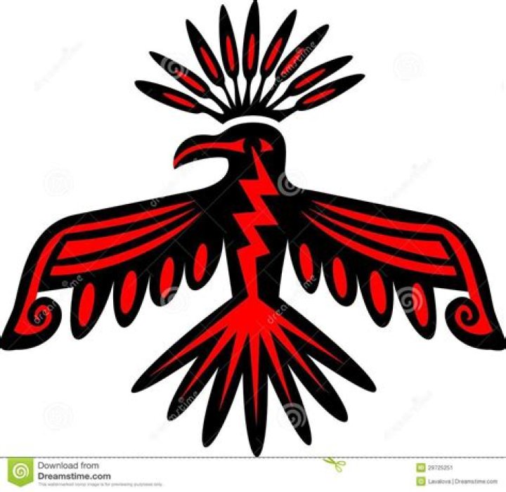 Uncovering The Meaningful Symbolism Of Native American Birds