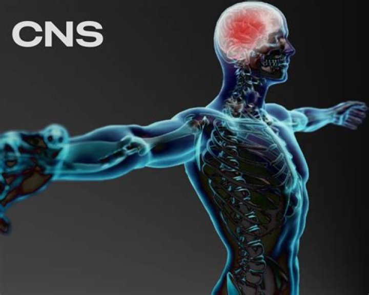 Unlocking Optimal Movement: Bma-unleash.com For Chiropractic Excellence