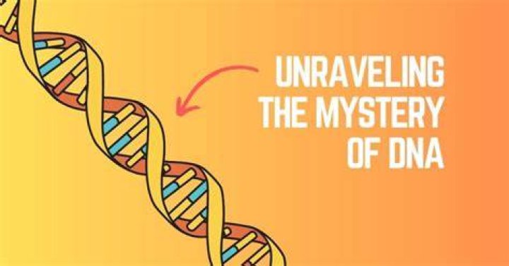 Unraveling The Mystery Of Their Child