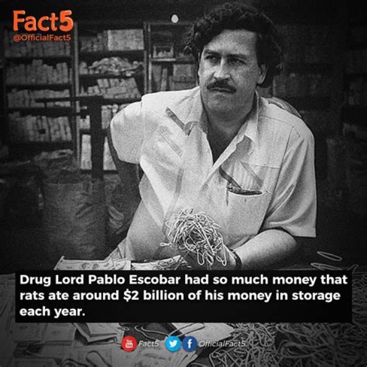 Unraveling The Wealth: How Much Money Did Pablo Escobar Make A Day?