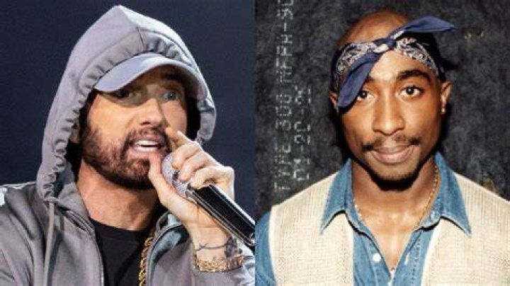 Unveiling The Connection: Eminem's Sibling