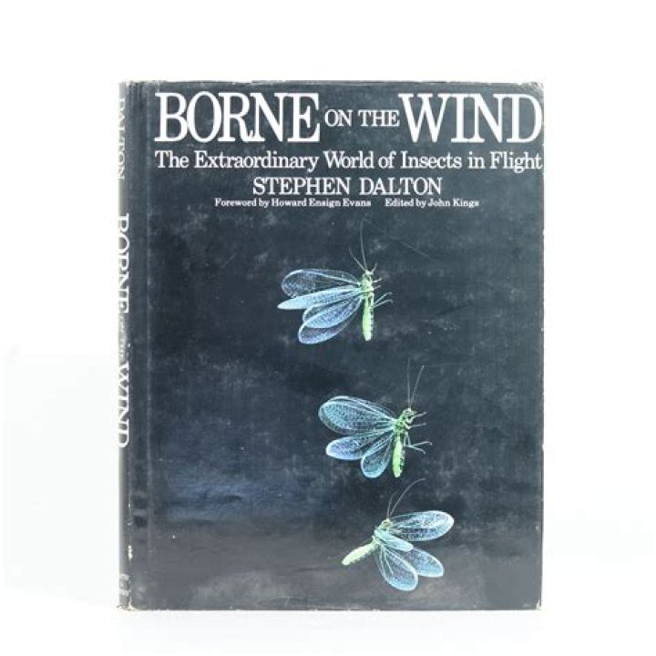 Unveiling The Extraordinary World Of Dae Bennett: Discoveries And Insights