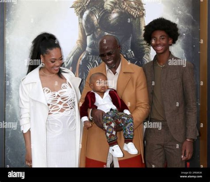 Unveiling The Multifaceted Life Of Djimon Hounsou's Wife