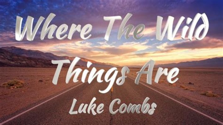 What Does The Song "Where The Wild Things Are" Really Mean?