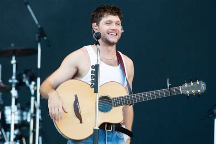 What Part Of Ireland Is Niall Horan From?