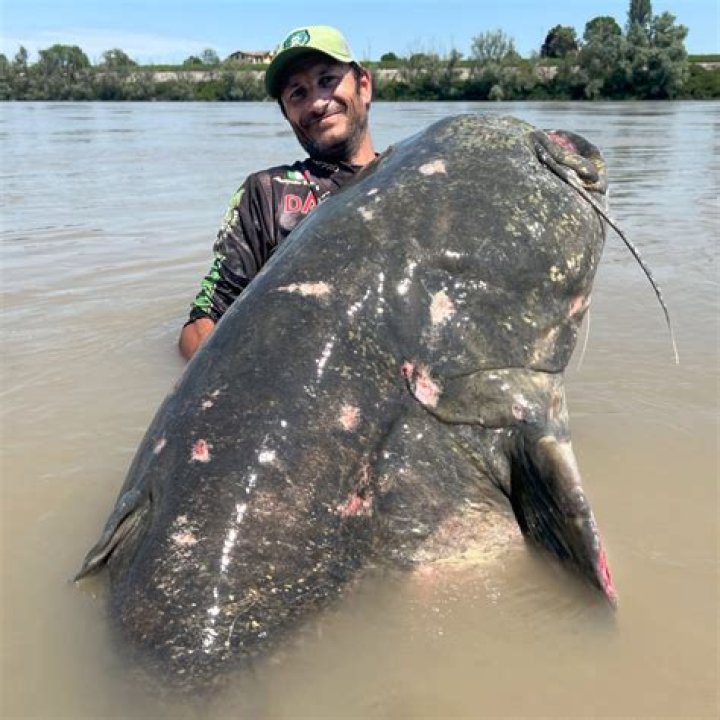 When To Catch The Latest Catfish Air Dates