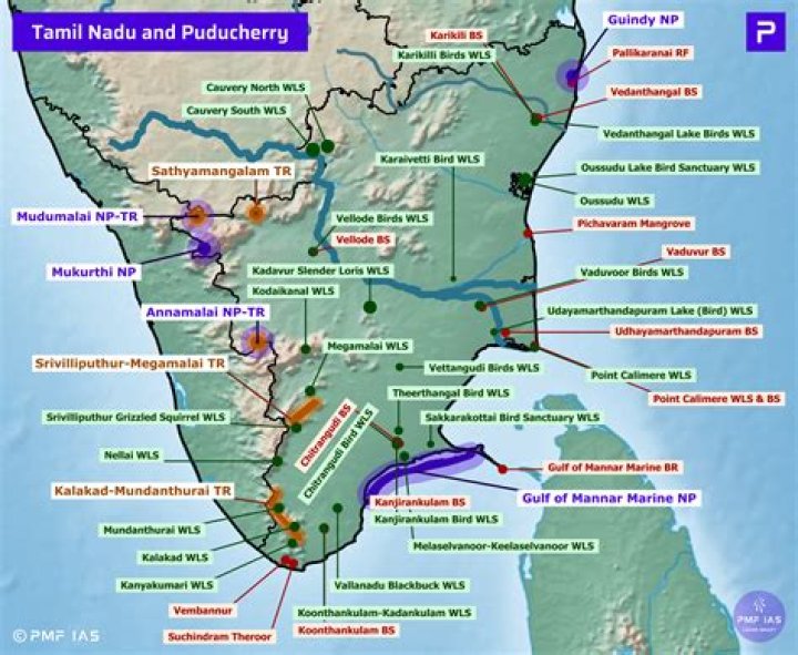 Where Is Annamalai From? Discover His Native Roots In The BJP