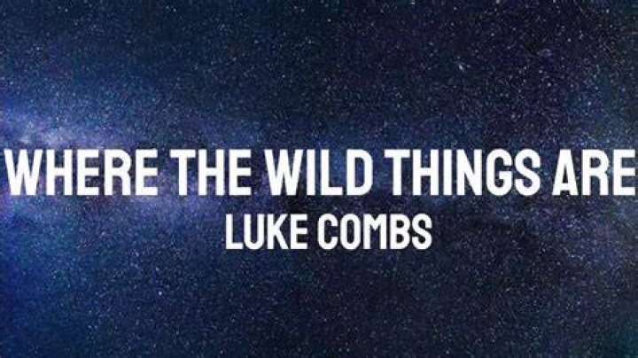 Who Authored Luke Combs's "Where The Wild Things Are"?