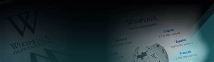 Wikipedia, Profile, And Career Information