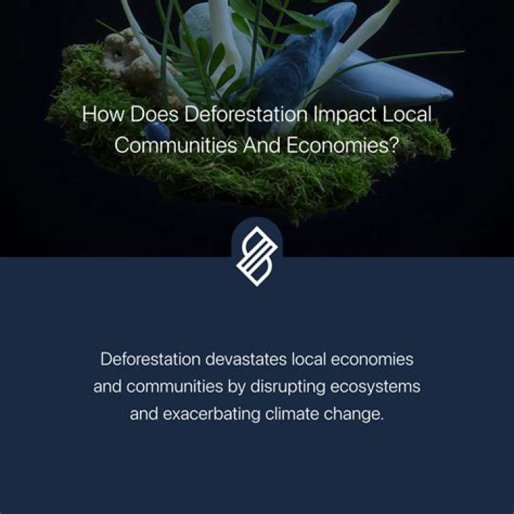 Yamals Wage: Exploring The Impact On Local Economies
