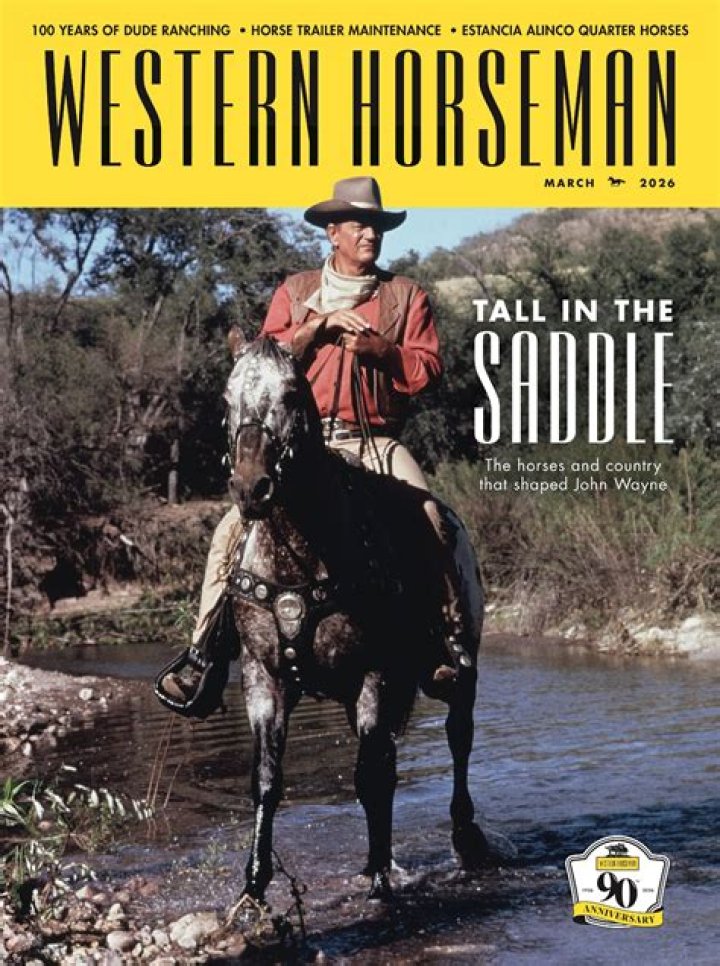 Years Of Western Adventure Revealed